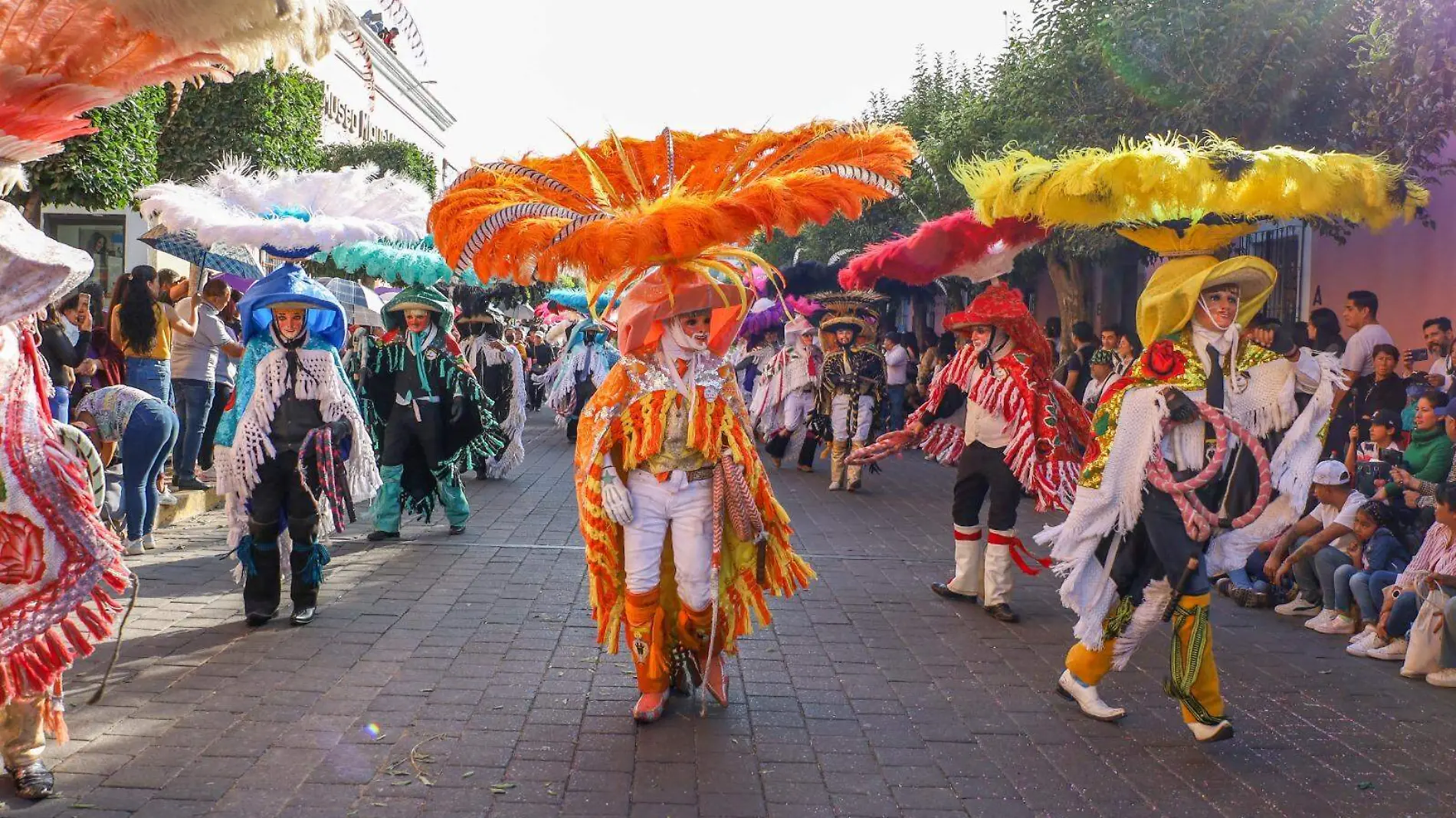 Carnaval, huehues (2)